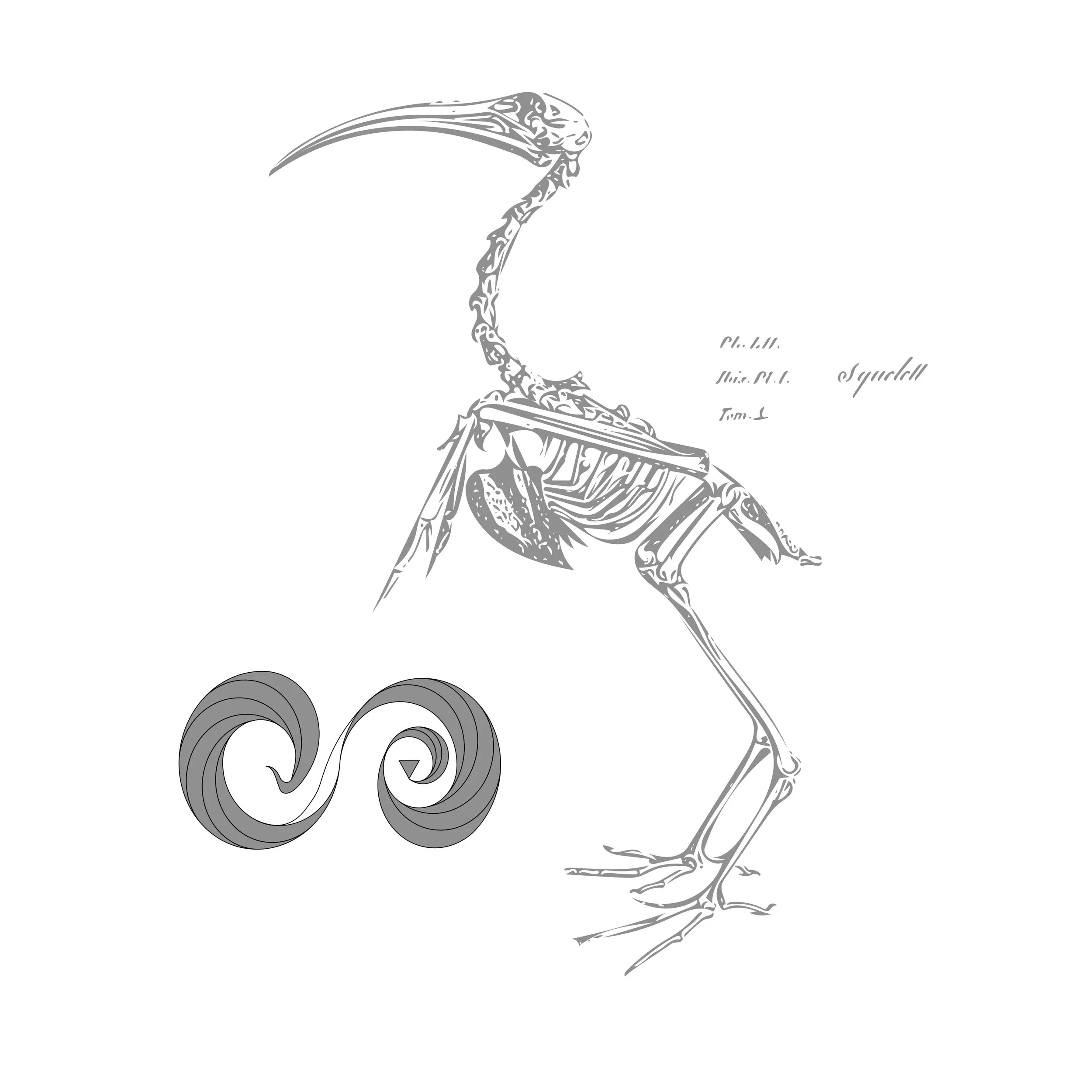 IBIS.jpg