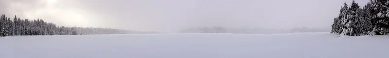 DSC00482.jpg