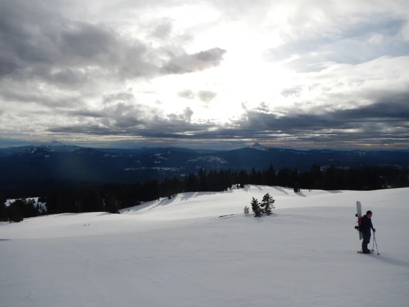DSCN2937.jpg