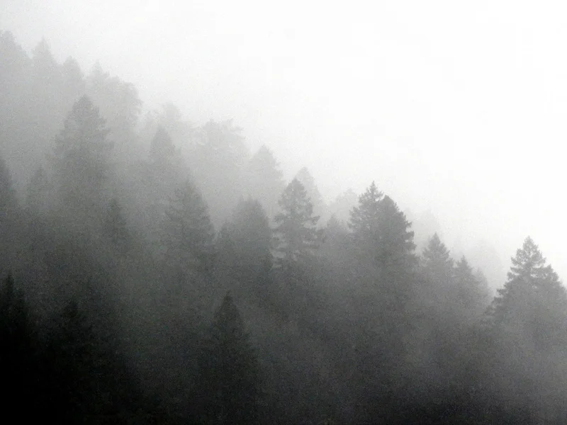 DSCN4057.jpg