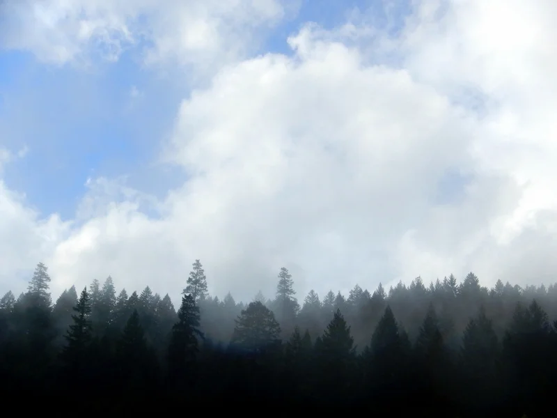 DSCN4158.jpg