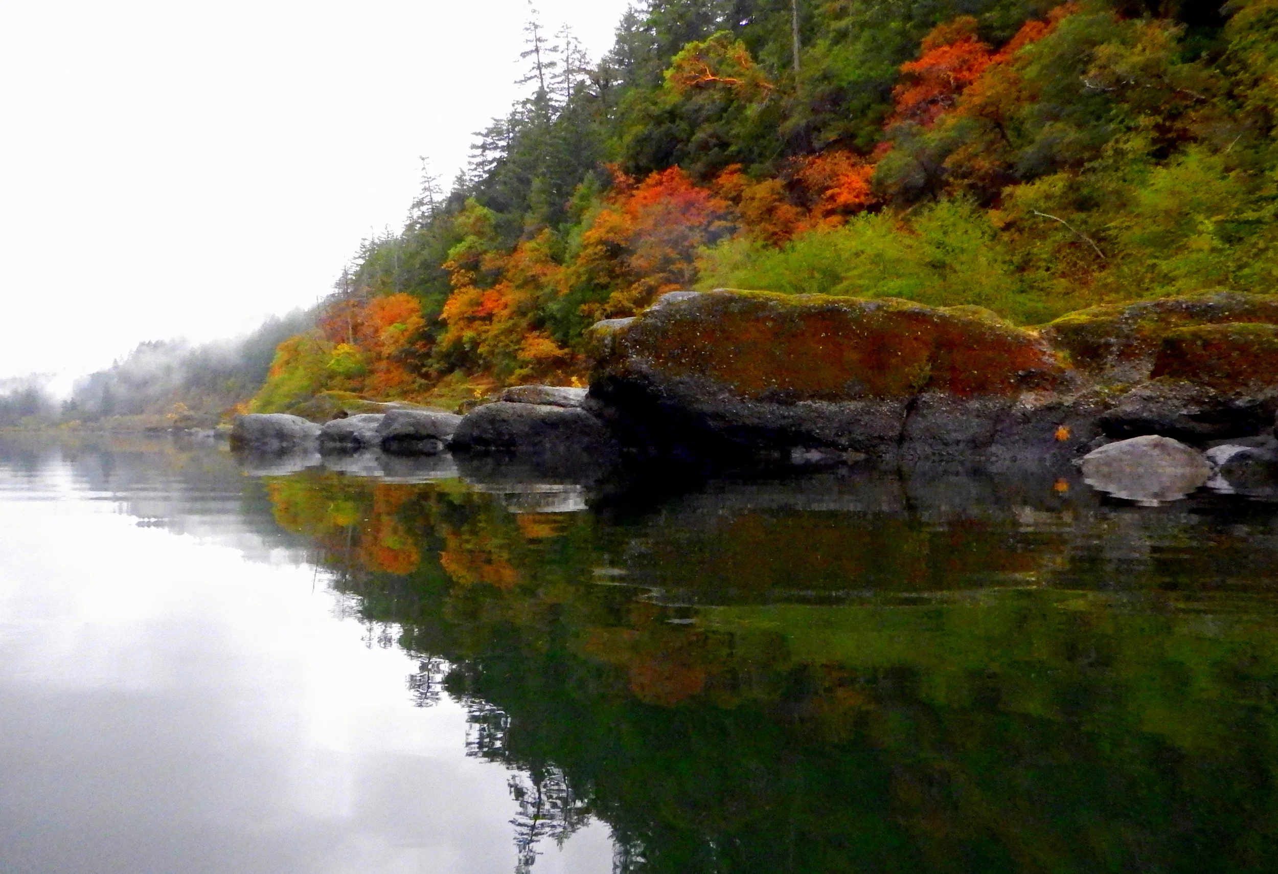 DSCN4118.JPG