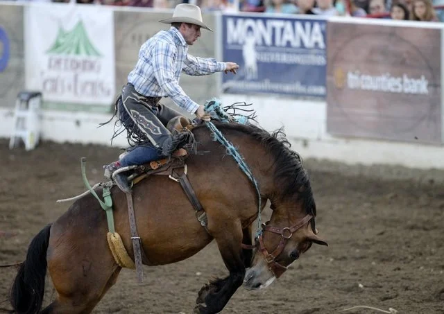 rodeo3_18233673_ver1.0_640_480.jpg