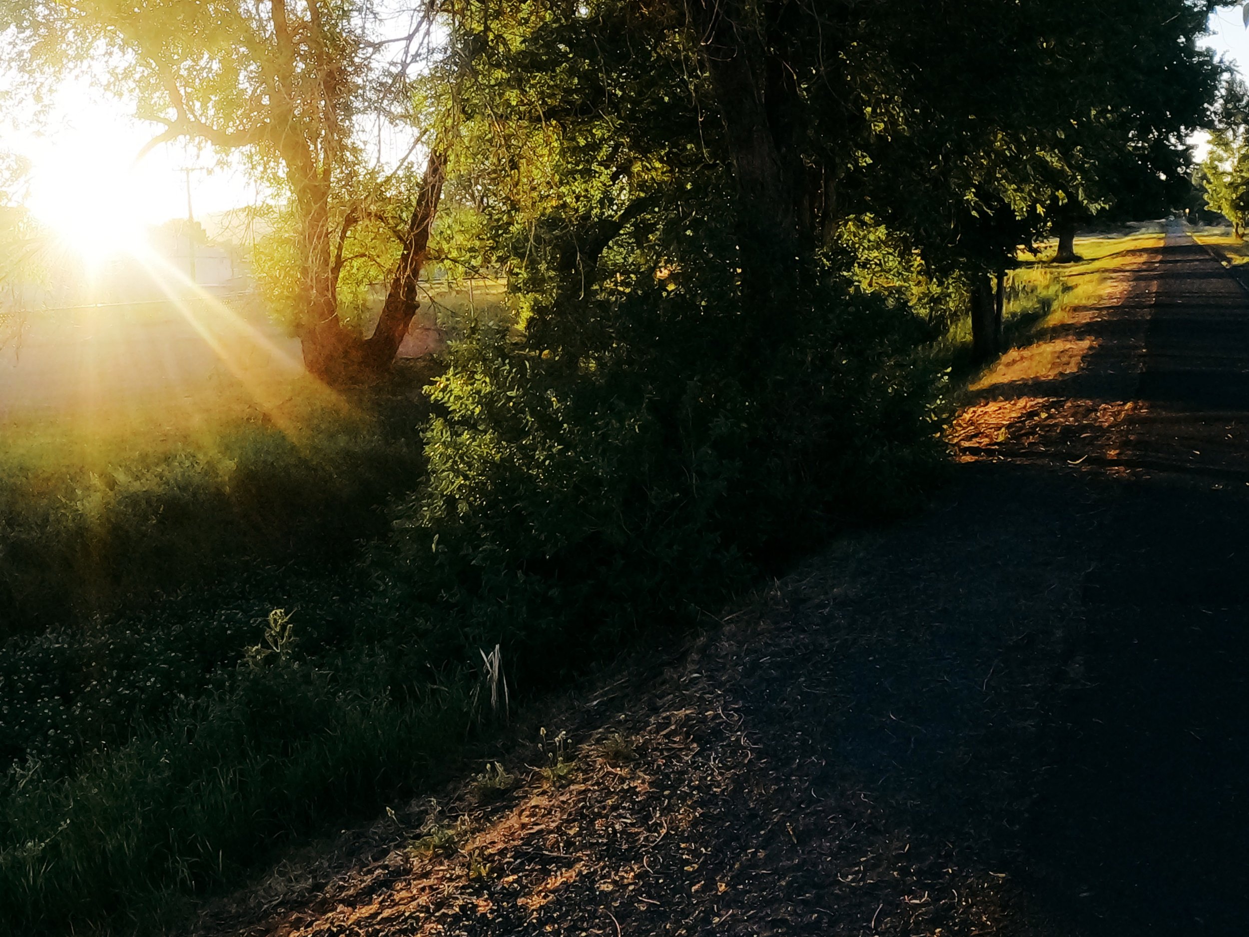 BikePath.jpg