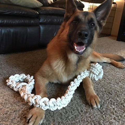 GSD.jpg