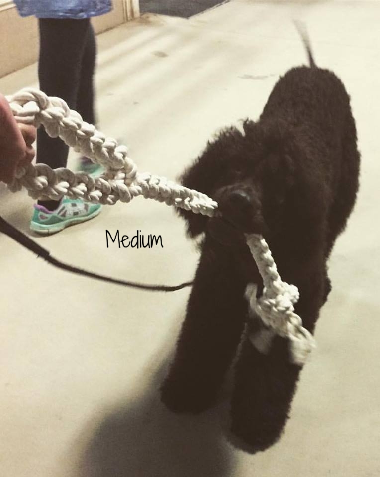 tug.jpg