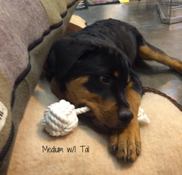 Rottiewball.jpg