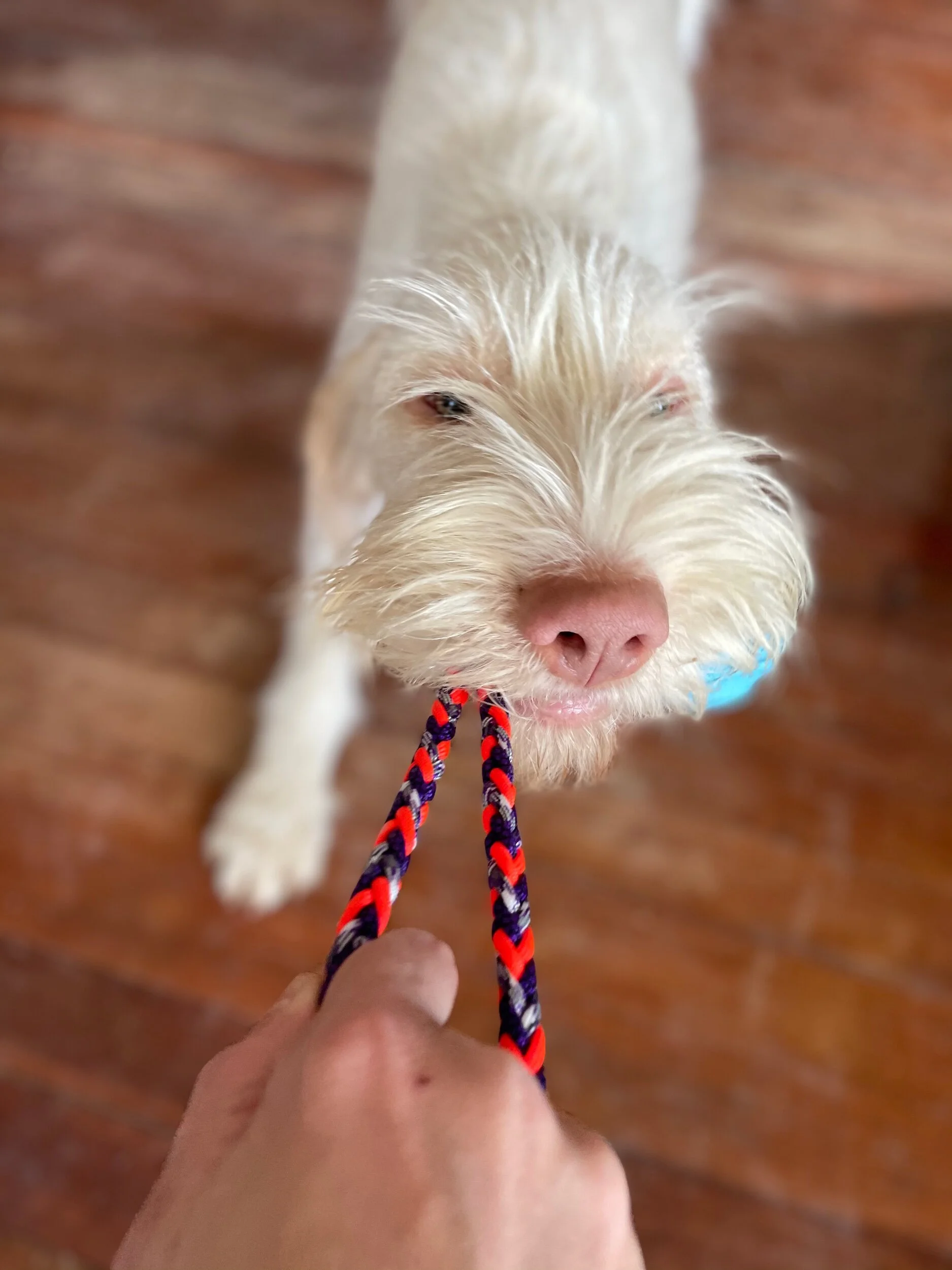 5882D603-E58D-45A8-B7CD-D860D2B96219