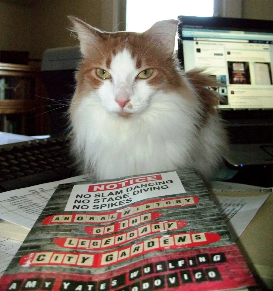 catbook.jpg