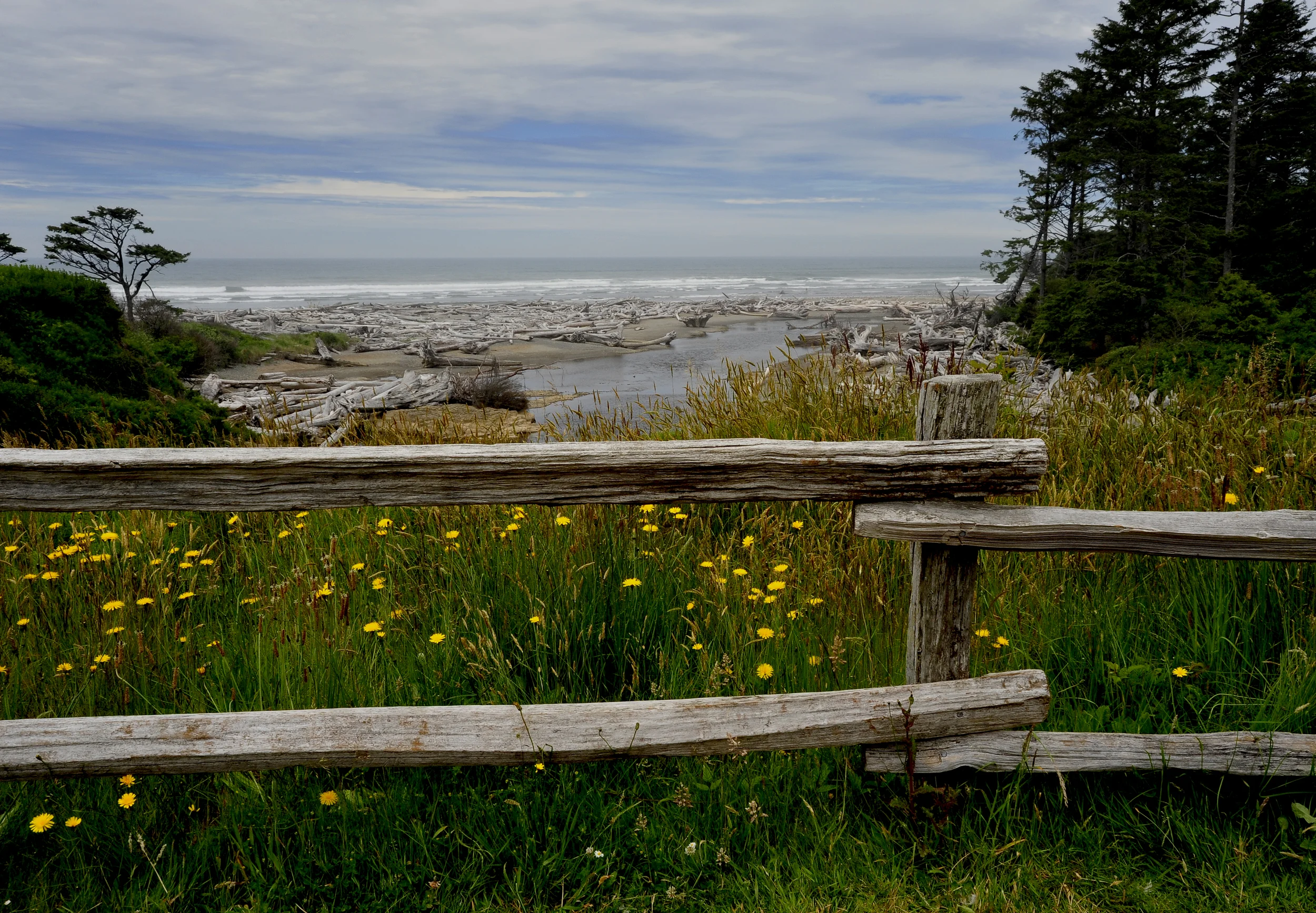 Washington Coast