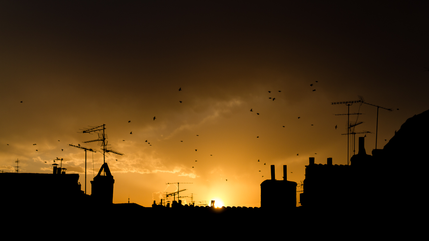 ISO 100, f/5.6, 1/400s, Canon 550D, Canon 18-55 f/3.5-5.6 à 55 mm