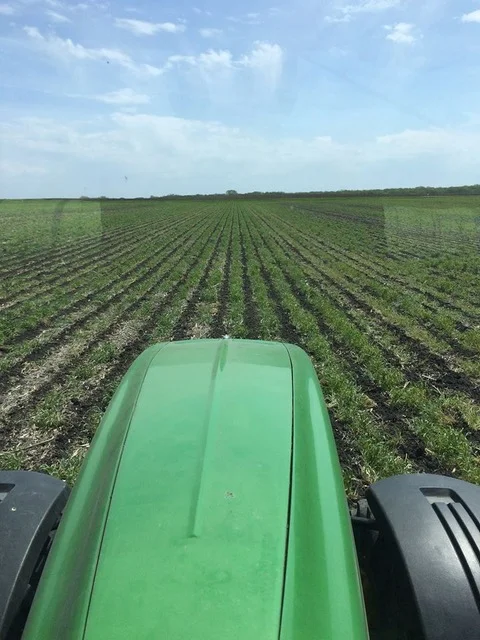 Tractor.jpg