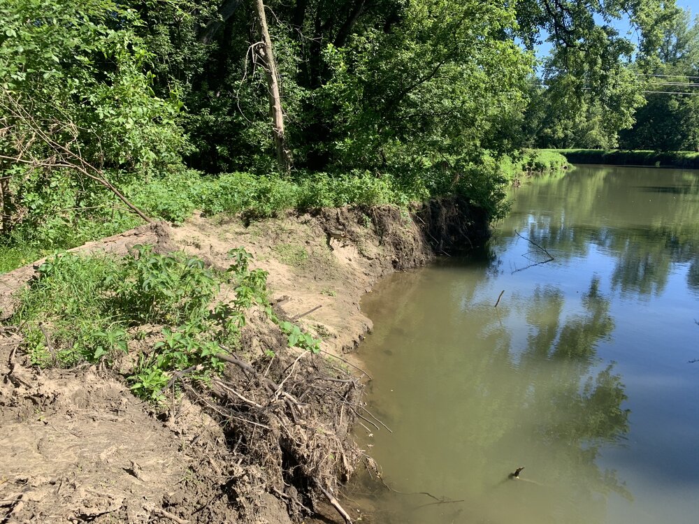 Rush River Field Trip