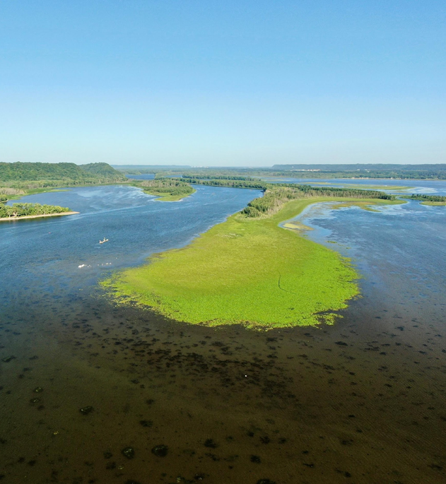 View Upriver (Mud Island) | August 2021