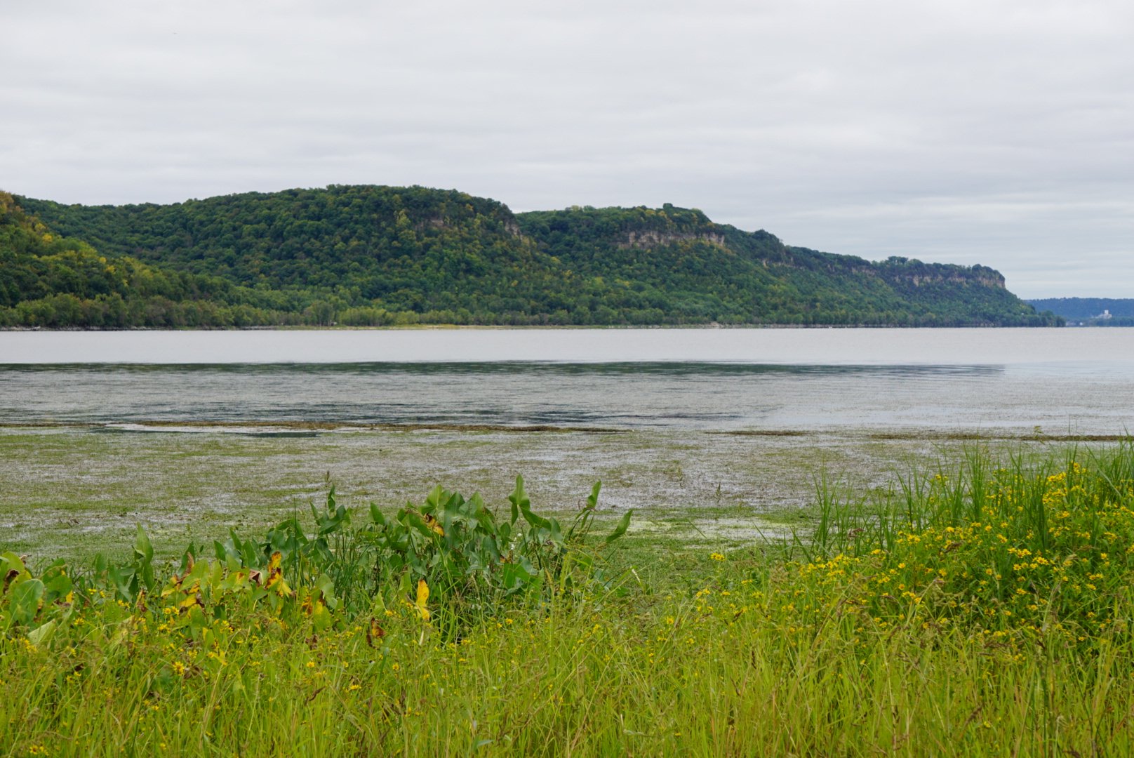 LPLA Blog — Lake Pepin Legacy Alliance