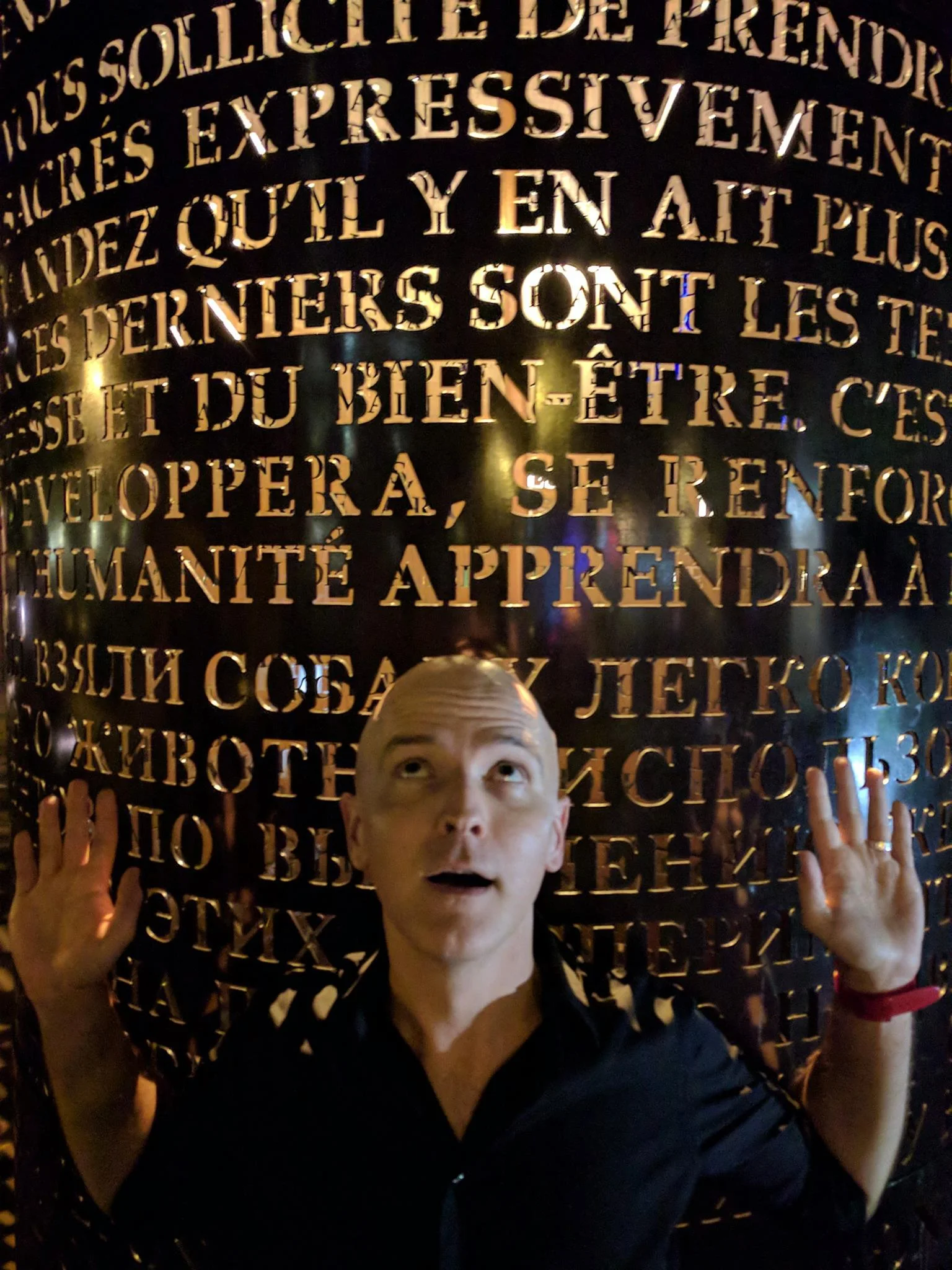 Pictured one night in front of the ARS MEDENDI ("the medical arts") sculpture, Jefferson University Hospital, Aug. 2017. Photo by Matt Boehler.