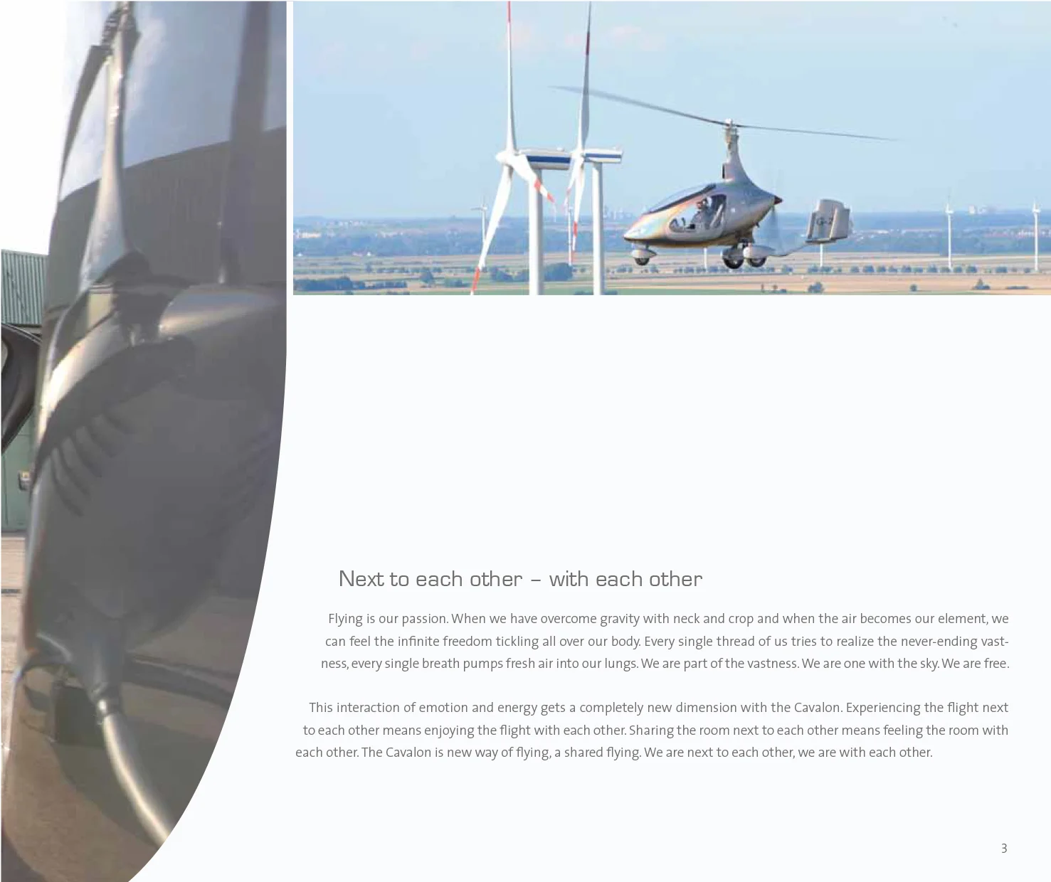 Cavalon_Brochure_2013-3.jpg