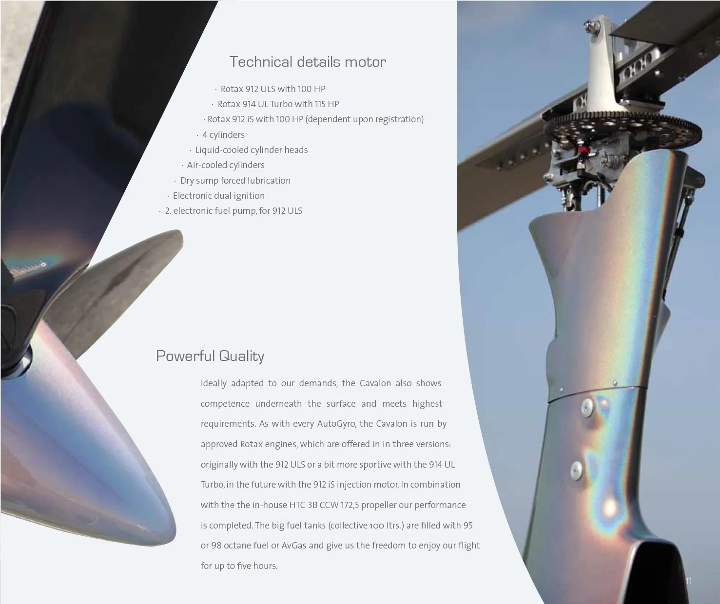Cavalon_Brochure_2013-11.jpg