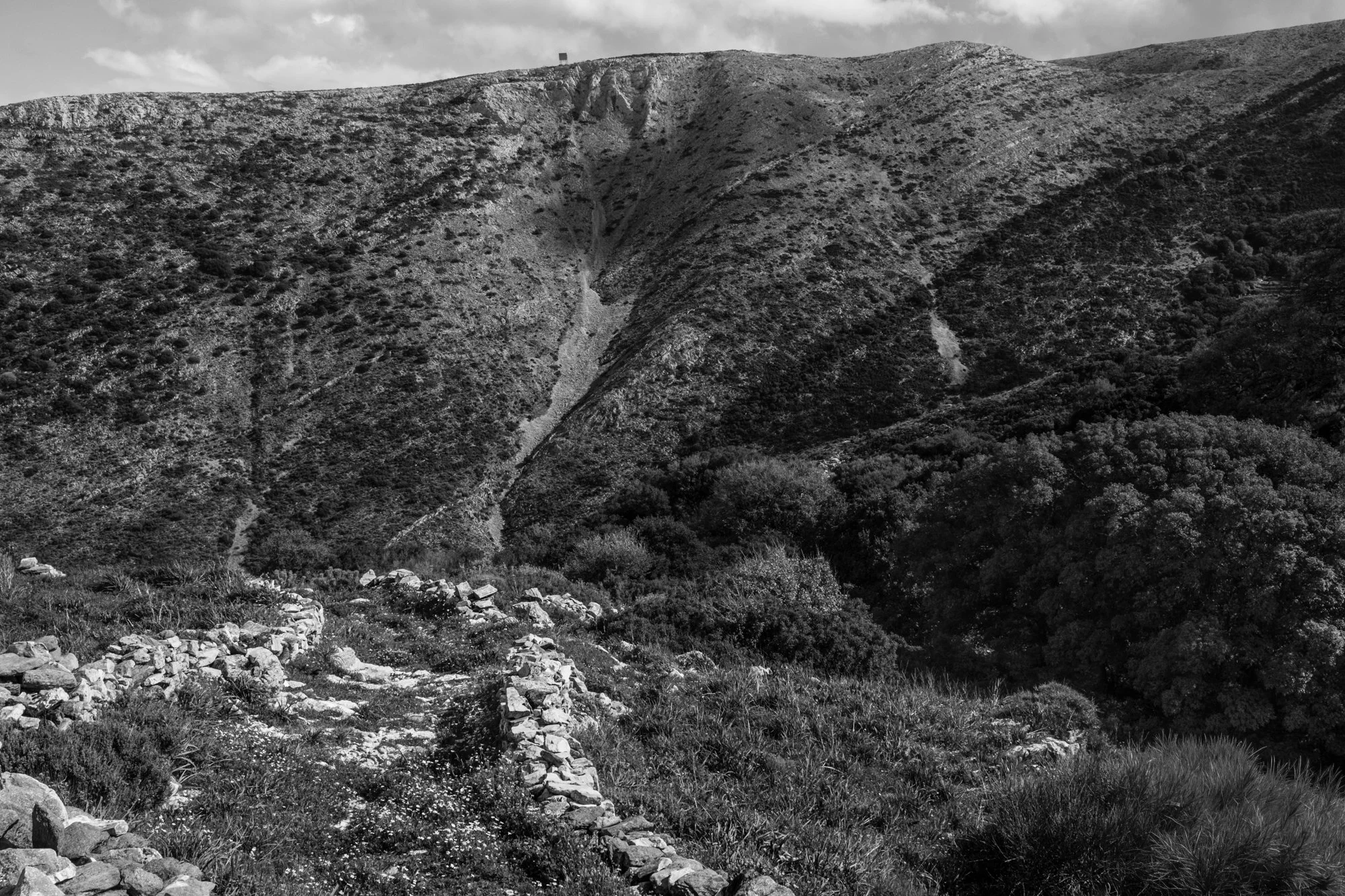 web 2026_landscape_04.jpg