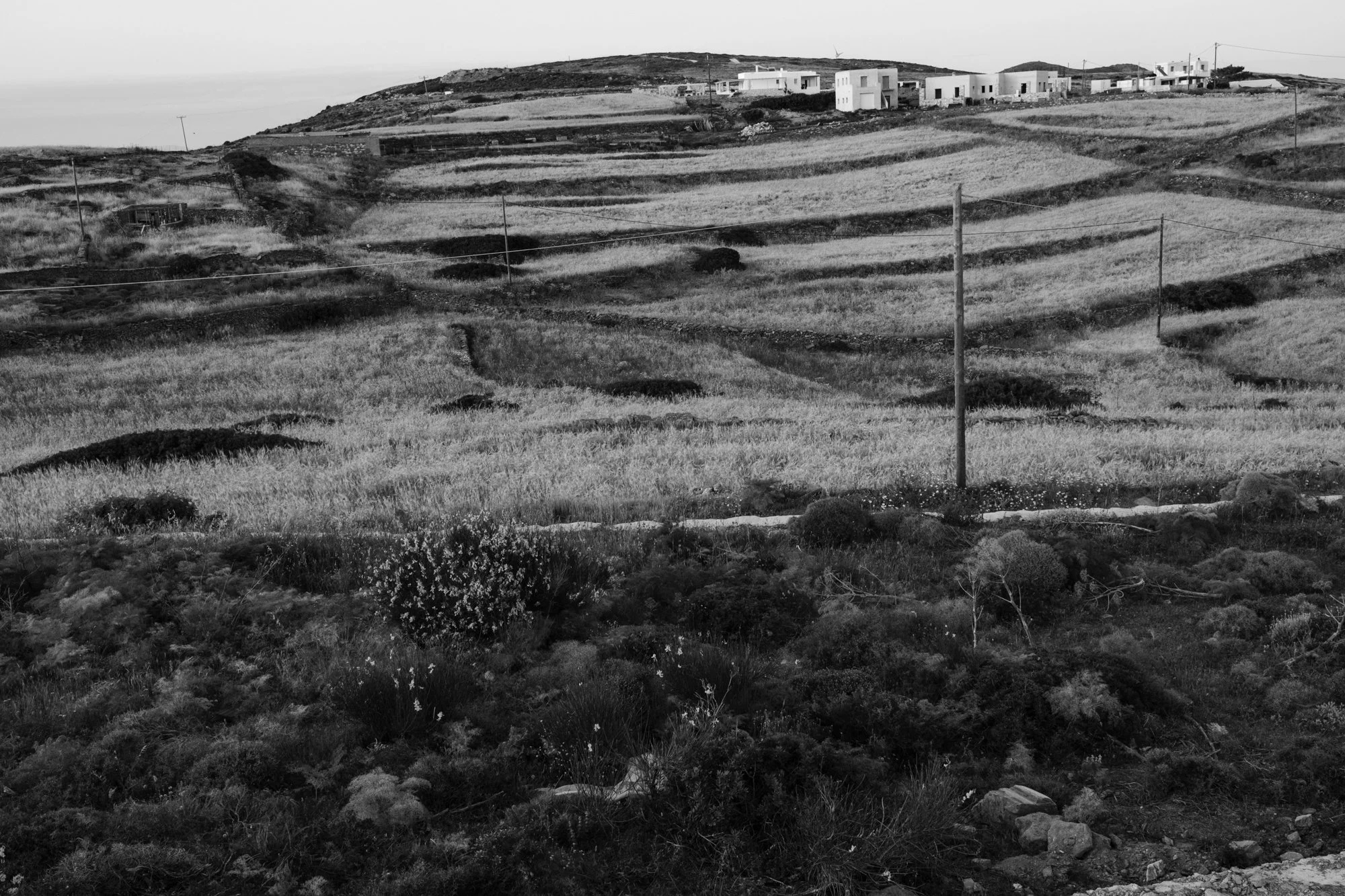 web 2026_landscape_05.jpg