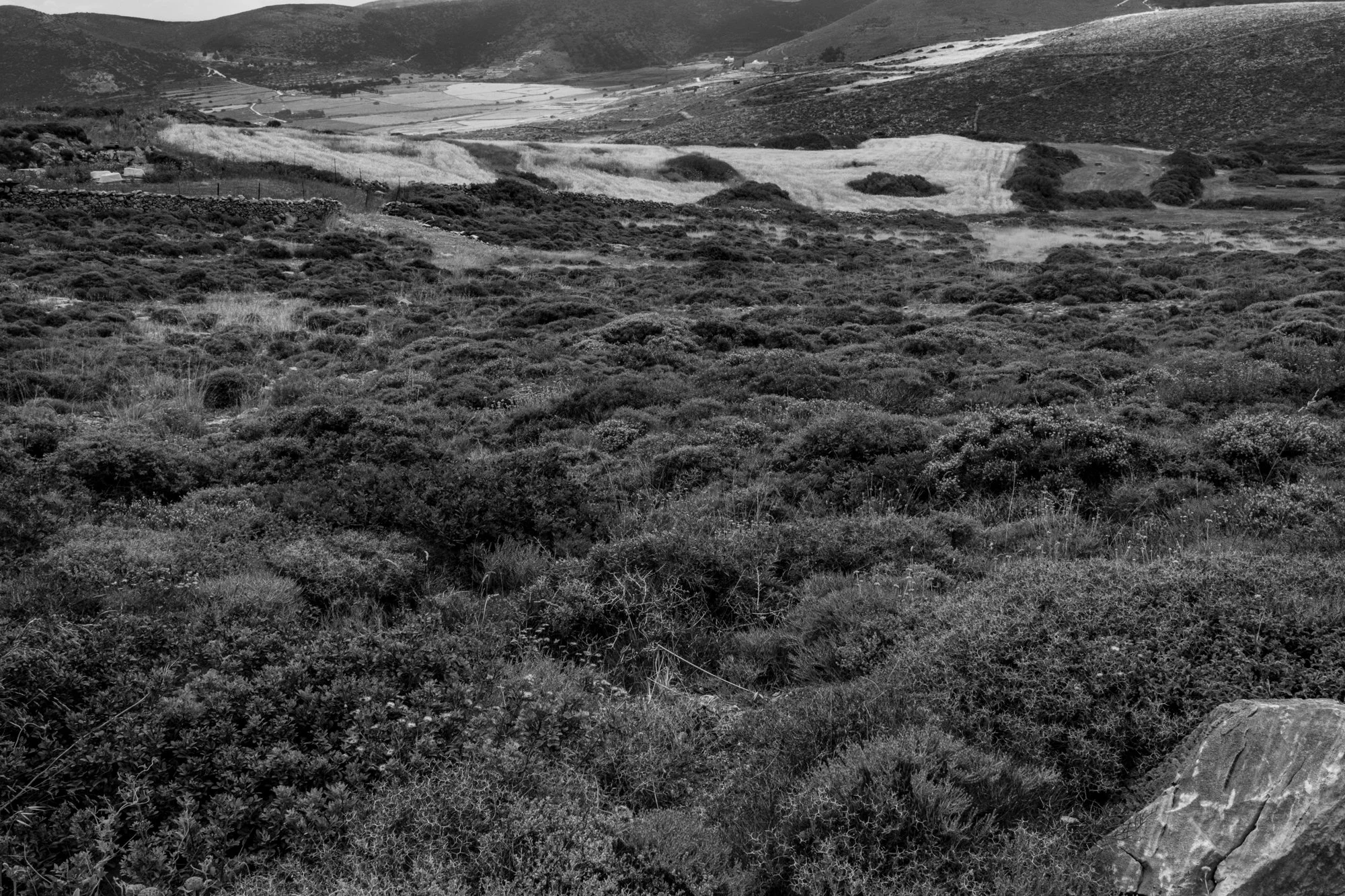 web 2026_landscape_06.jpg