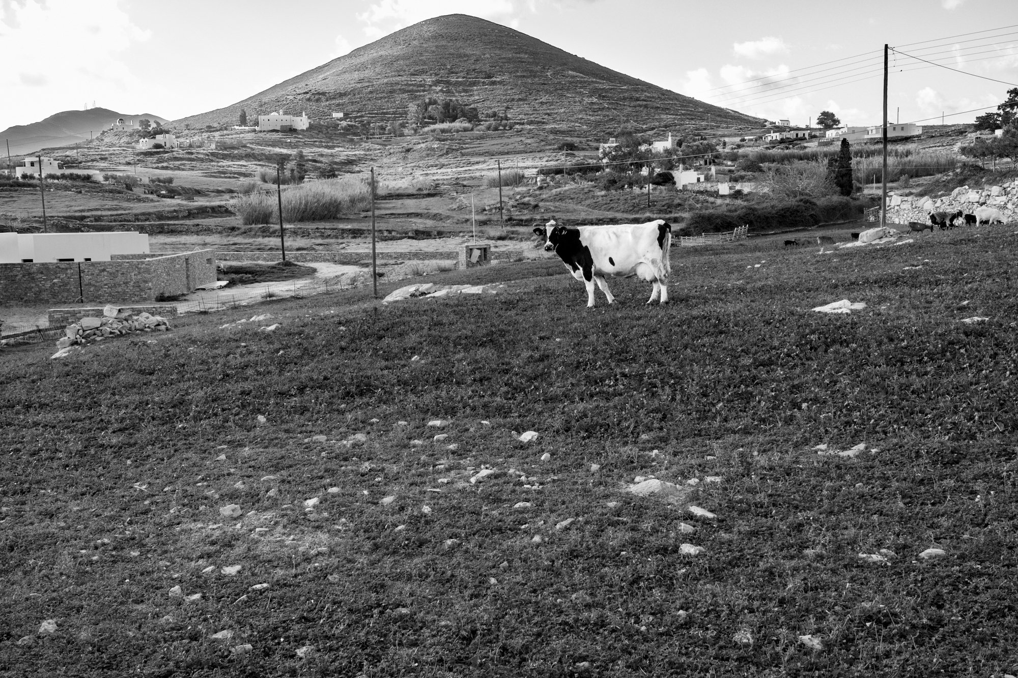 web 2026_landscape_07.jpg