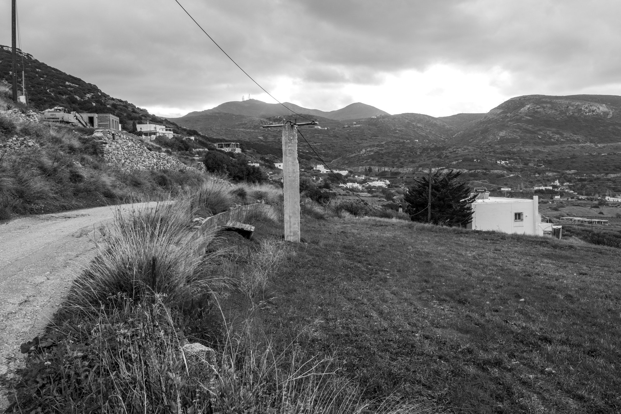 web 2026_landscape_09.jpg