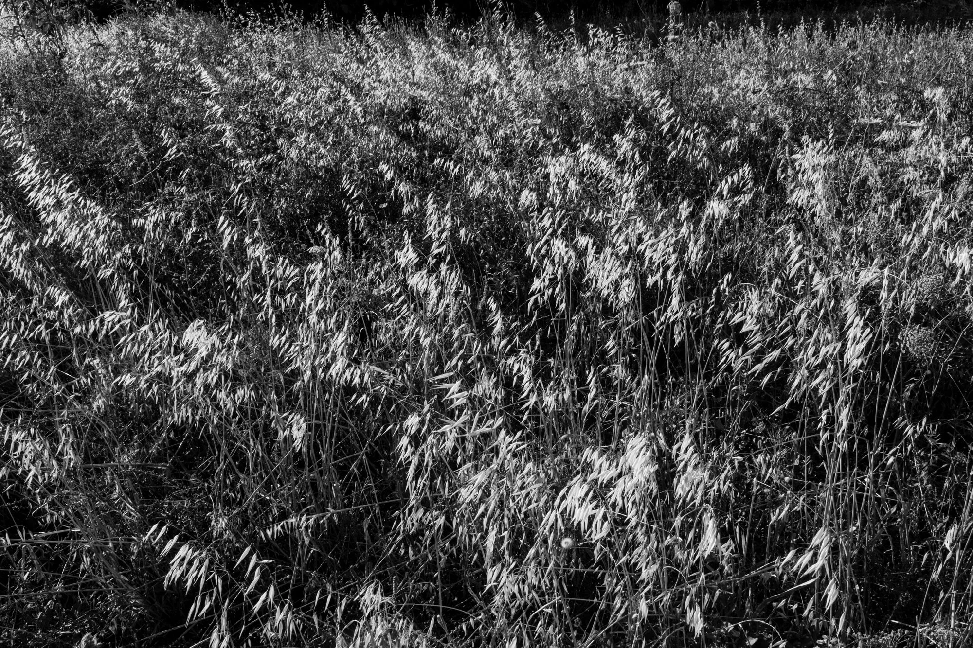 web 2026_landscape_14.jpg