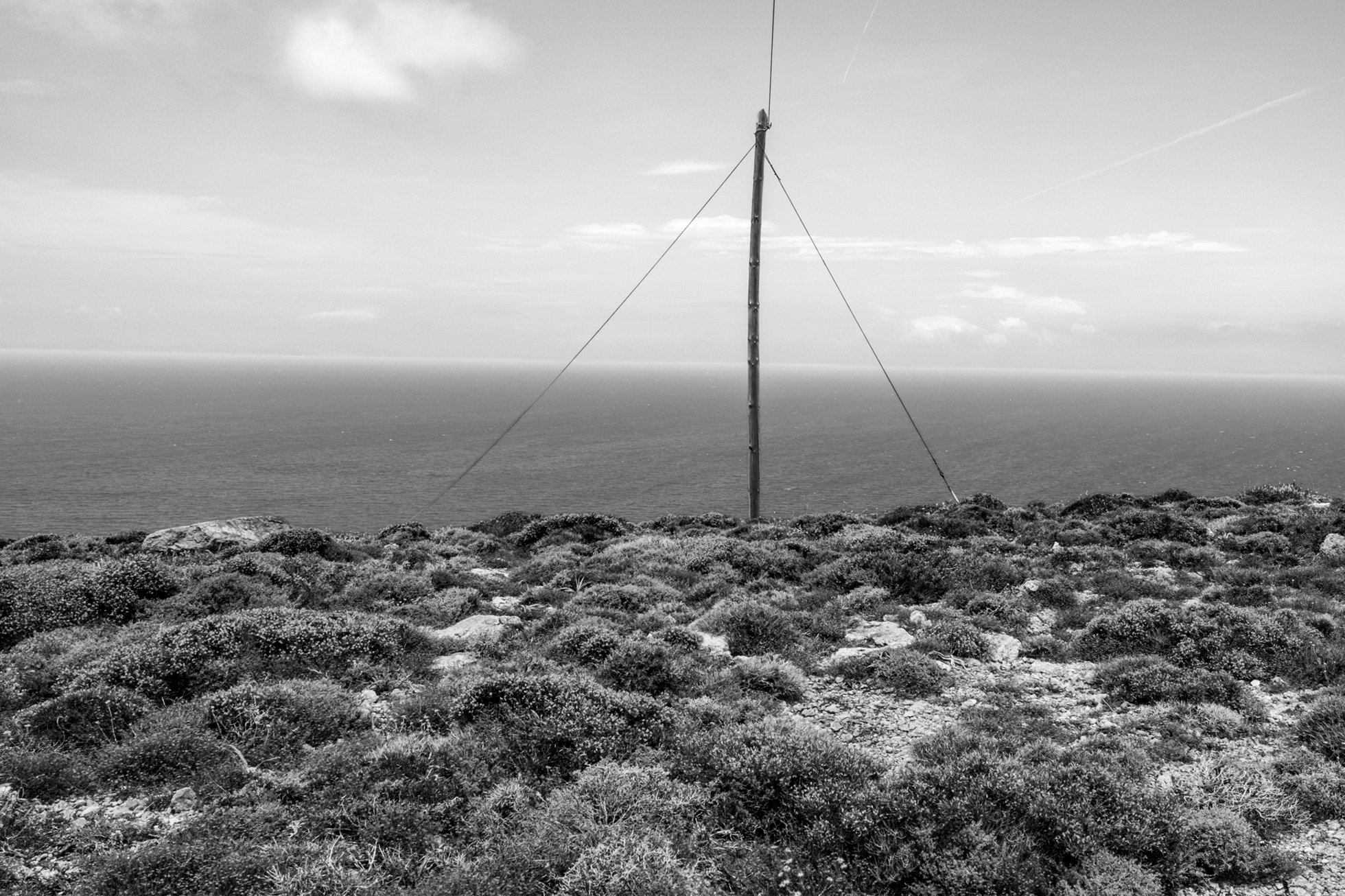 web 2026_landscape_16.jpg