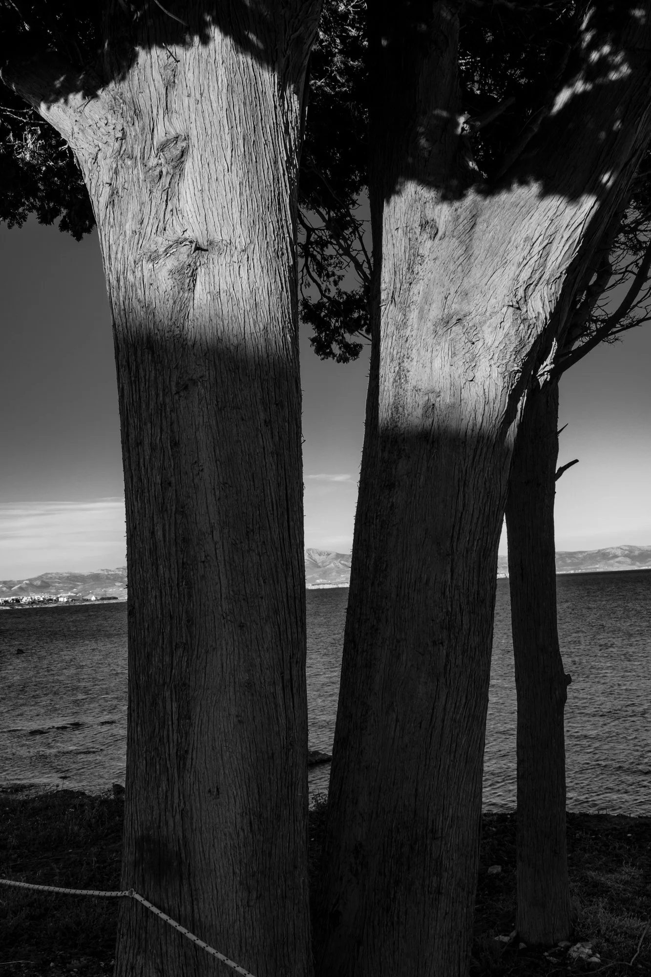 web 2026_landscape_26.jpg
