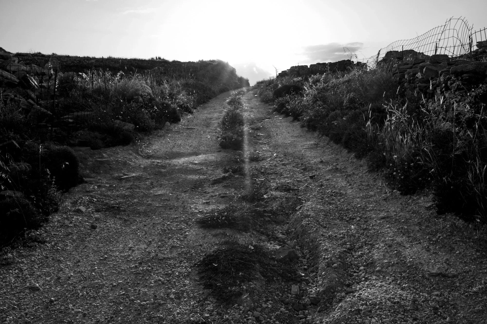 The Persistence of a Place-Field Notes-An ongoing work 