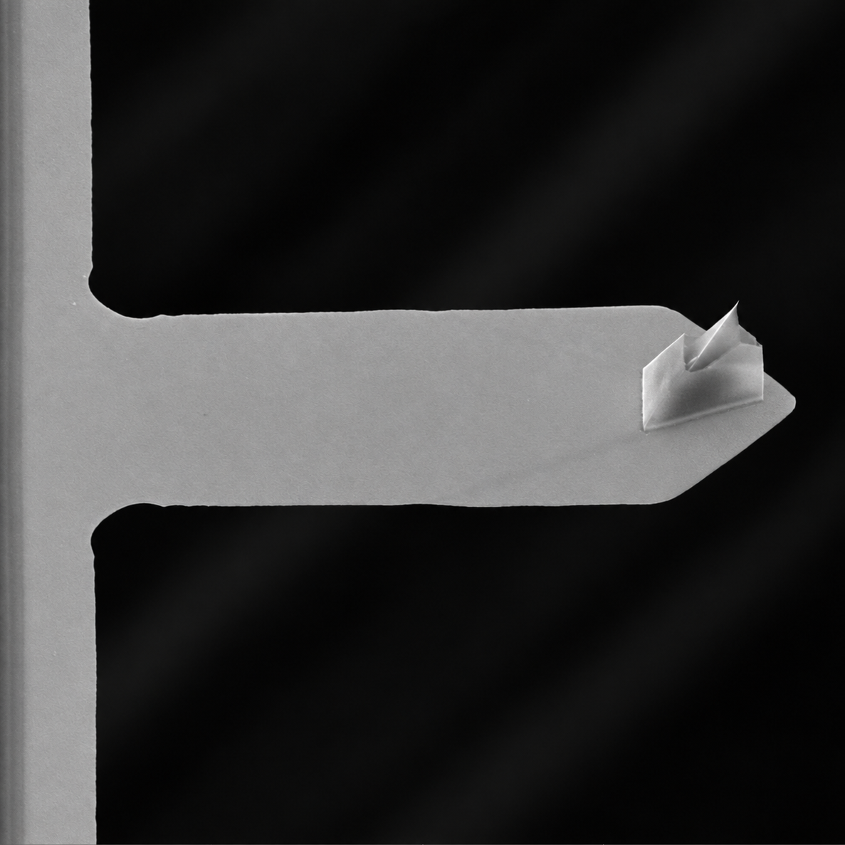 Sense110 45deg.png