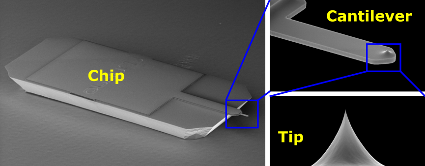 Components of an AFM probe.