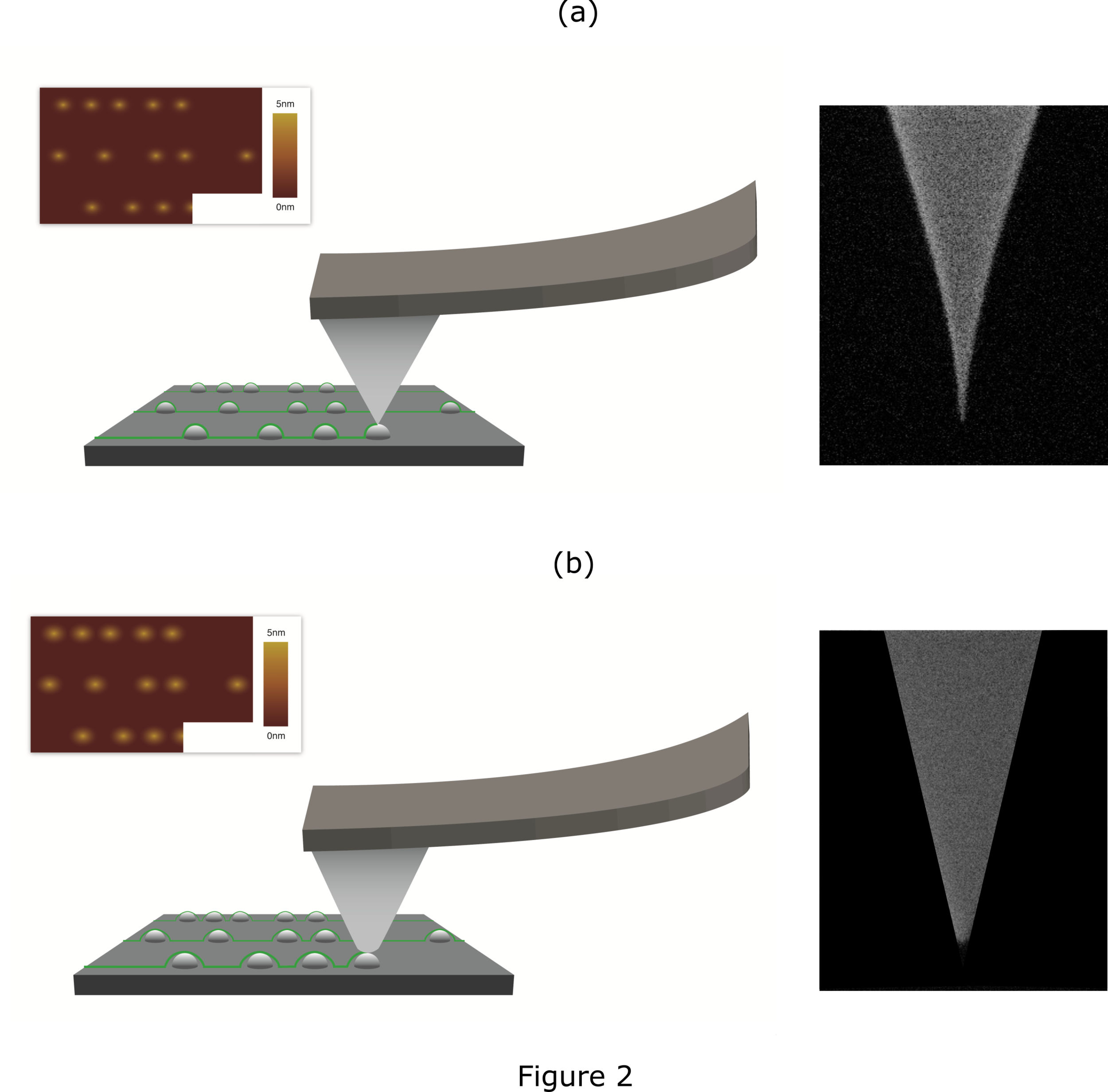 Tip apex radius set.png