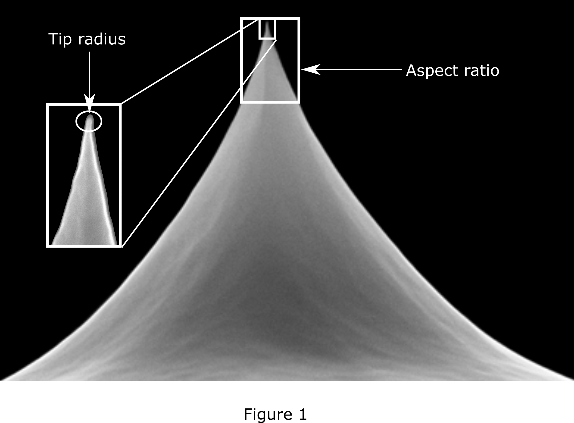 Probe showing tip apex radius and aspect ratio.png