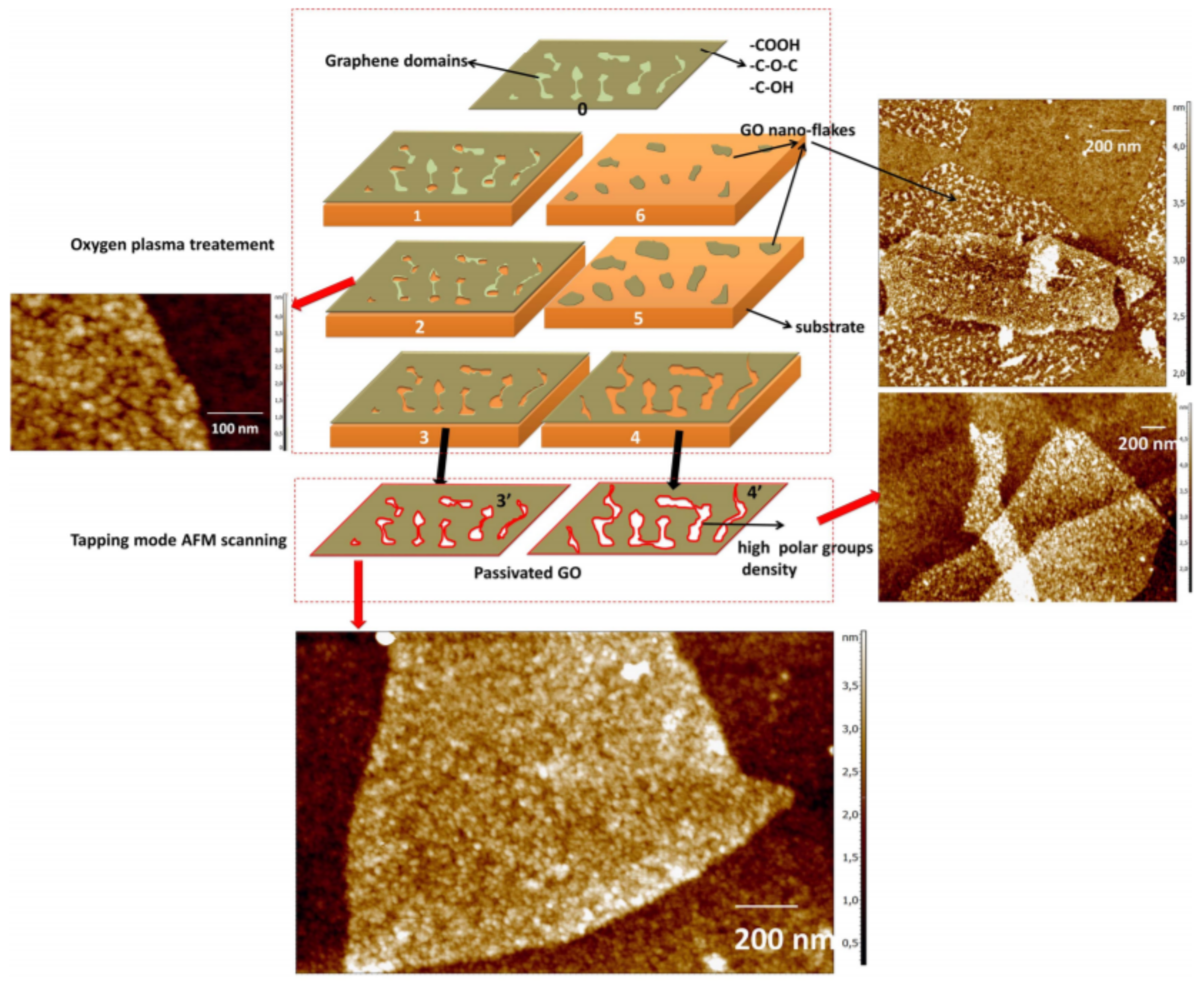 The evolution of pores in graphene oxide upon treatment with oxygen plasma and AFM tapping. © Chu et al.
