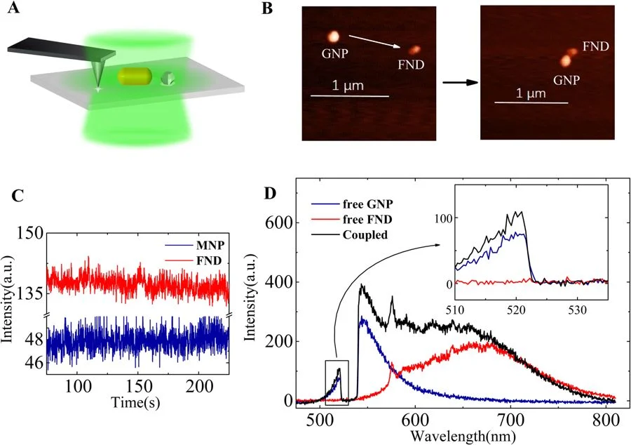 Coupling of the gold nanoparticle and fluorescent nanodiamond using AFM manipulation and the photoluminescence spectra of these particles in the free and coupled state. © Zhao et al.