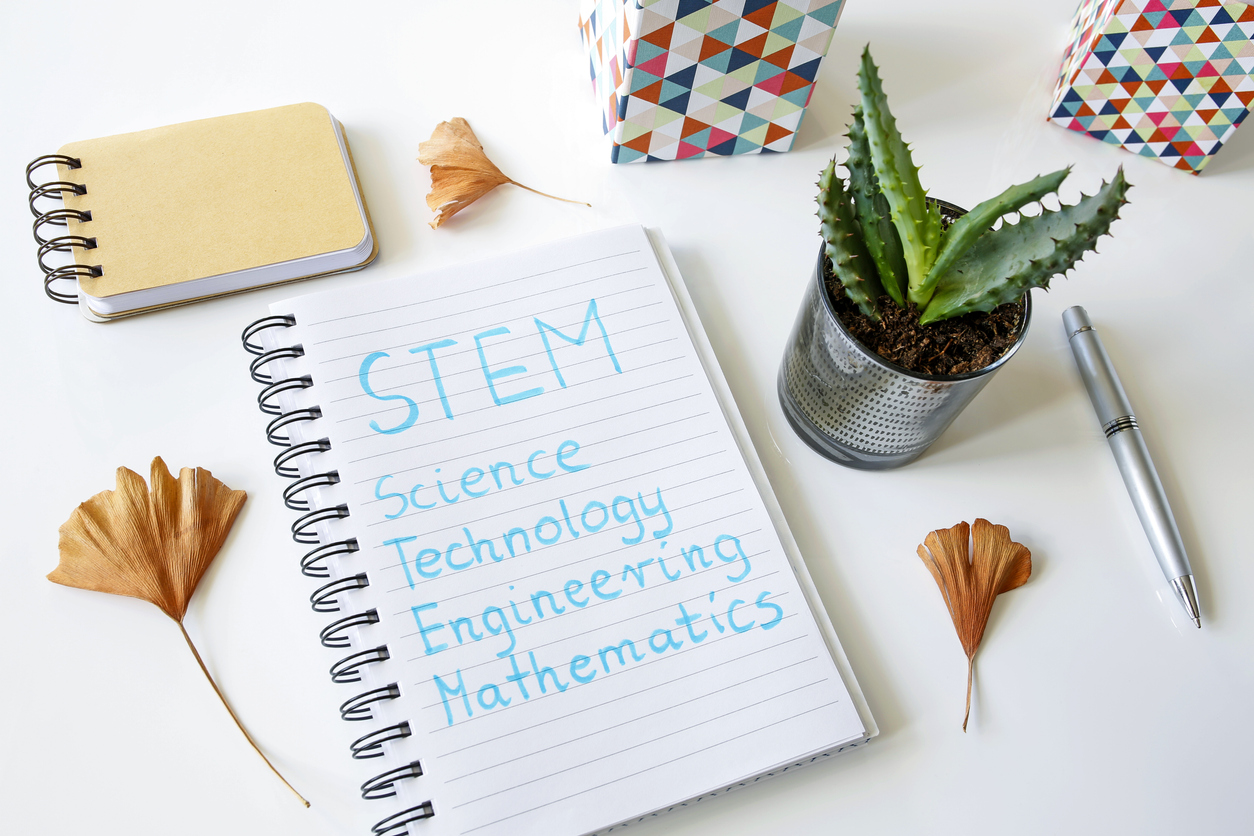STEM.jpg