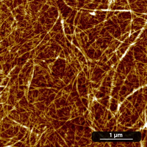 Cellulose nanofibrils