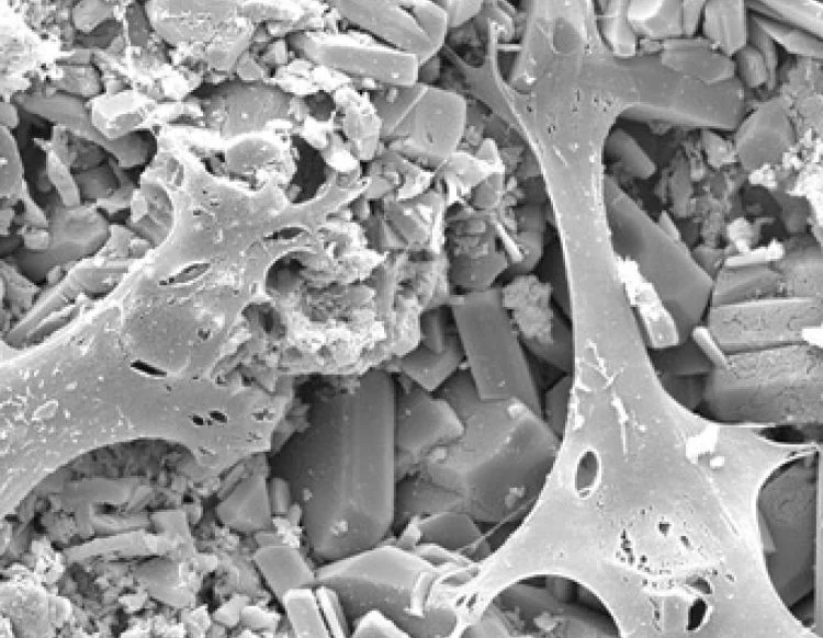 Case Study: Bespoke Development of a new type of Cantilever for use in Biofilm Analysis