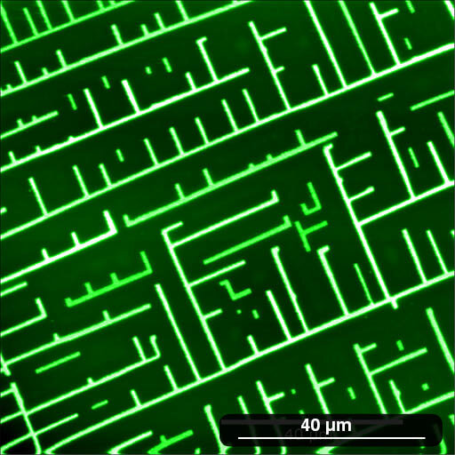 Self-organised microstructures