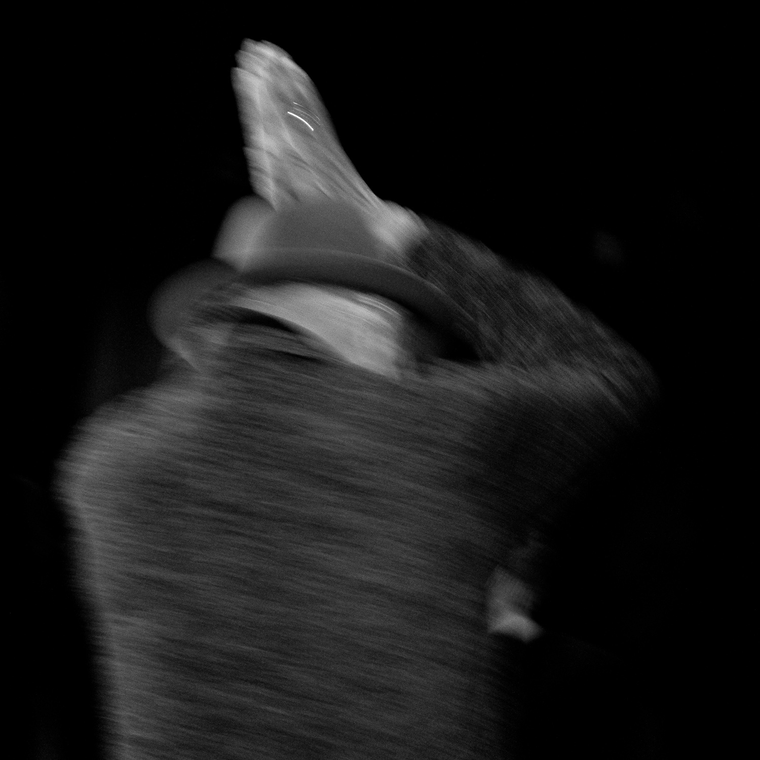 Charles Lloyd, 2015