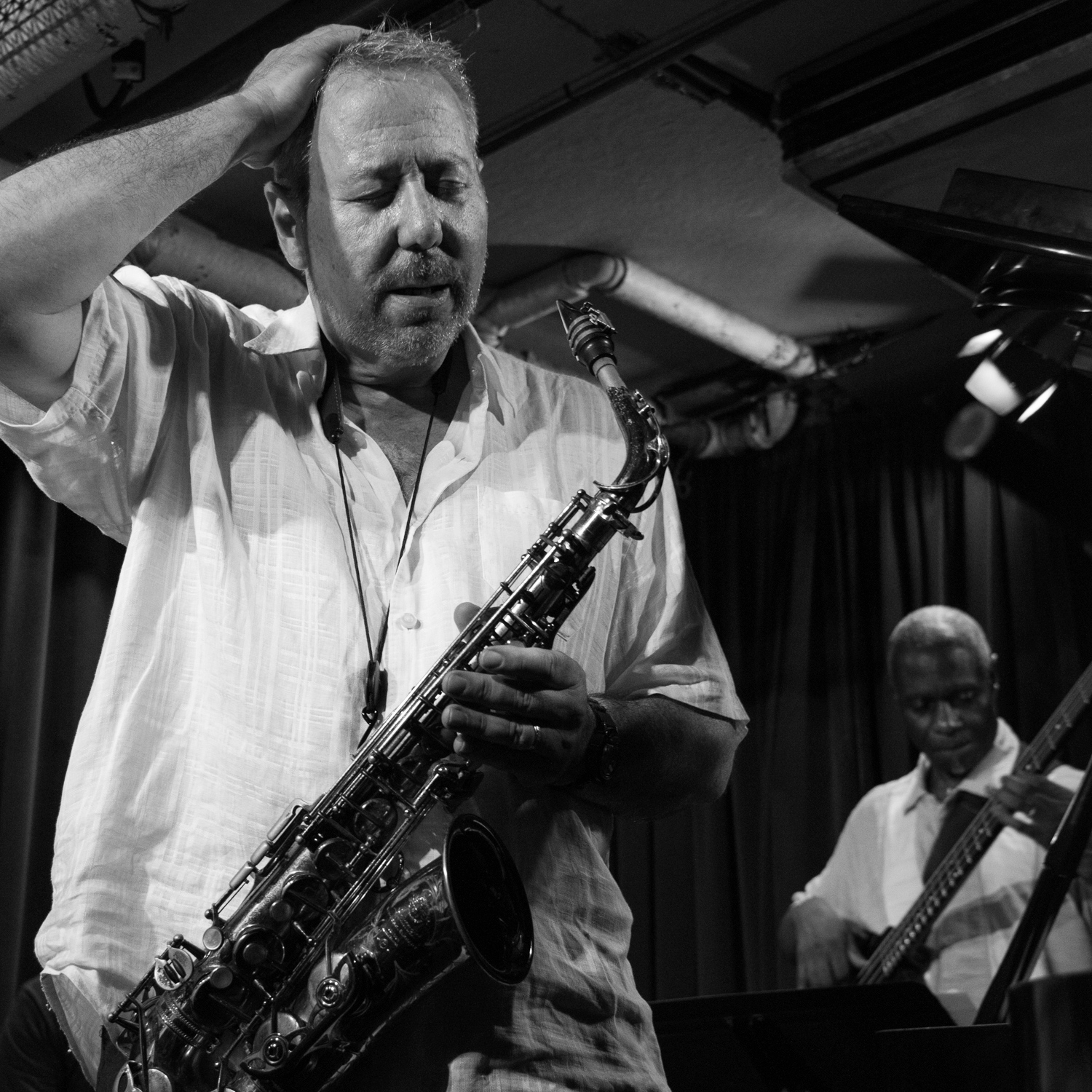 Marty Ehrlich and Jerome Harris, 2016