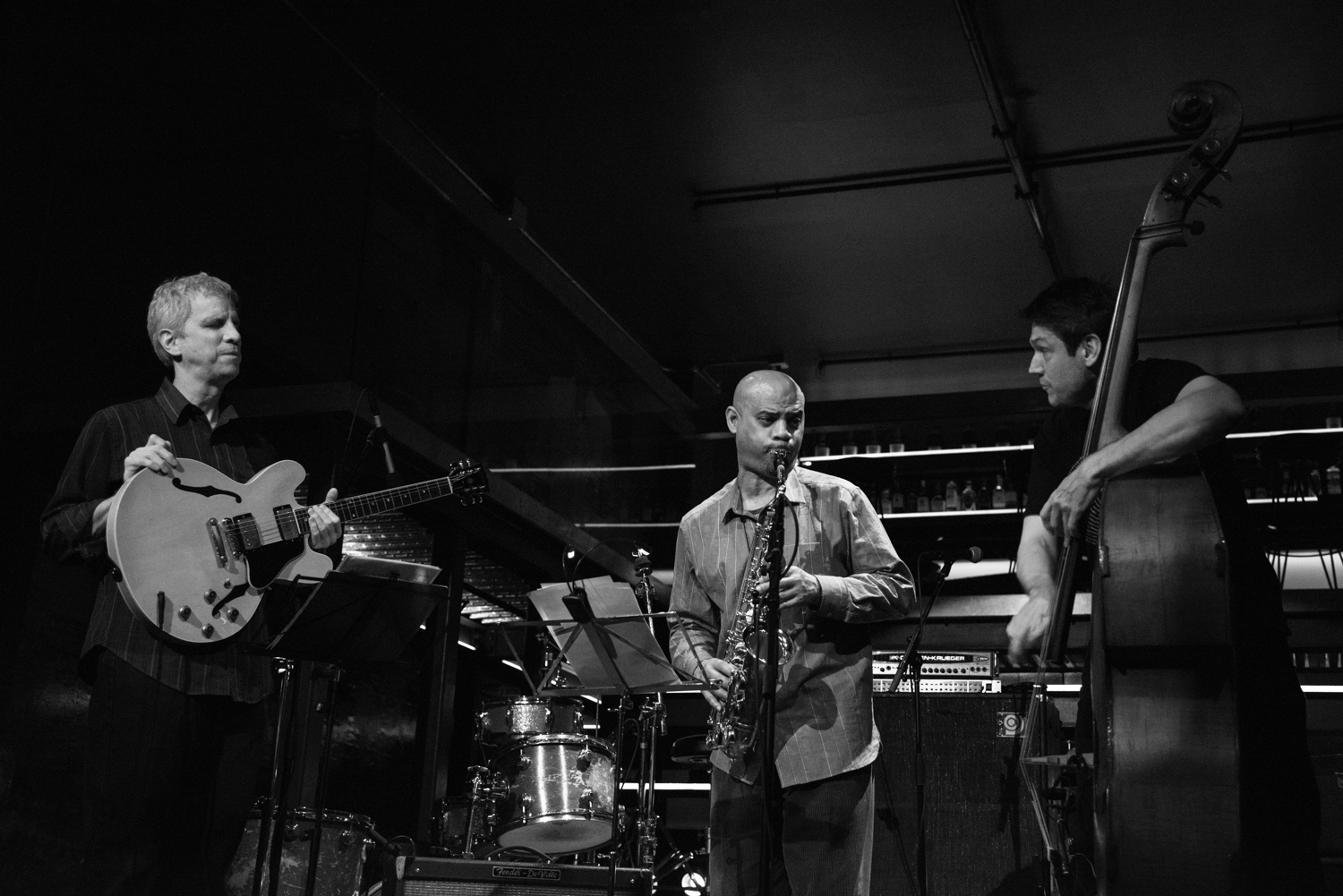 Steve Cardenas, Steve Wilson, Ben Allison, 2016