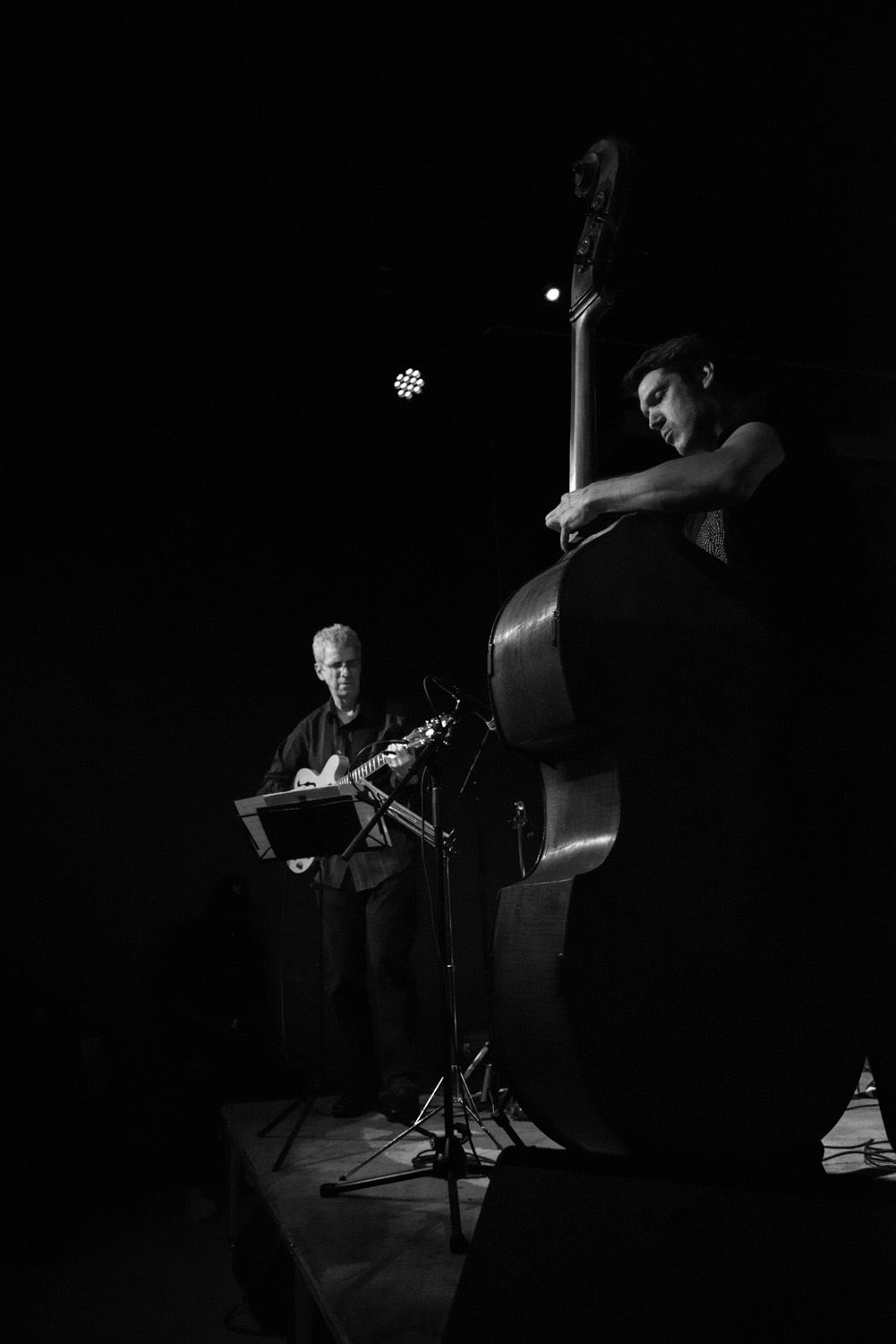 Steve Cardenas and Ben Allison, 2016