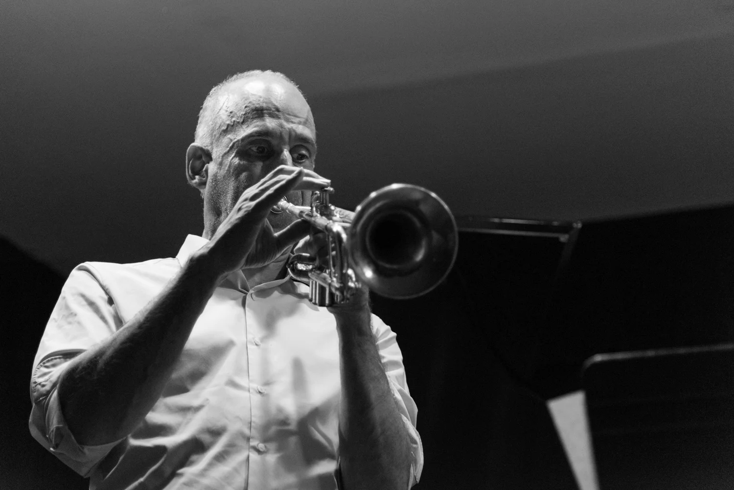 Ralph Alessi, 2017