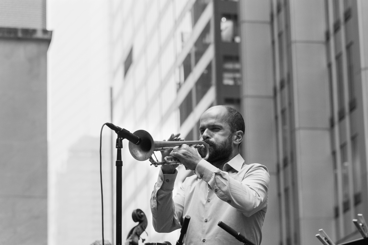 Amir ElSaffar, 2017