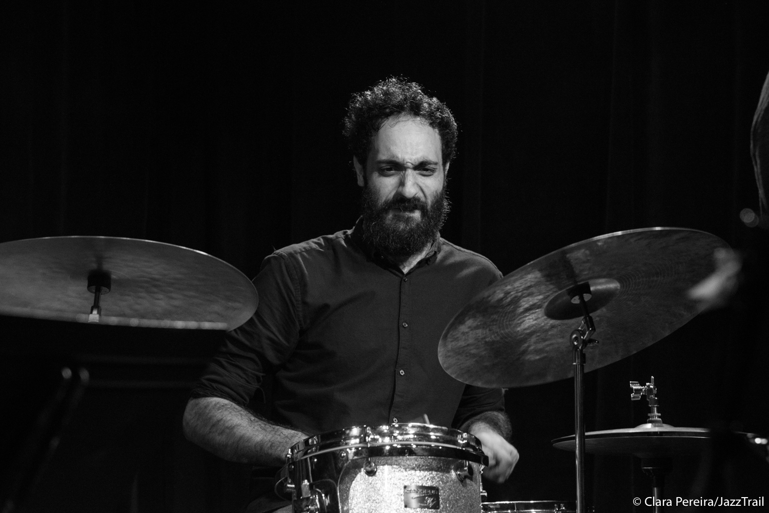 Daniel Dor, 2017