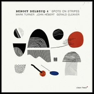 benoit-delbecq-spots-stripes.jpg