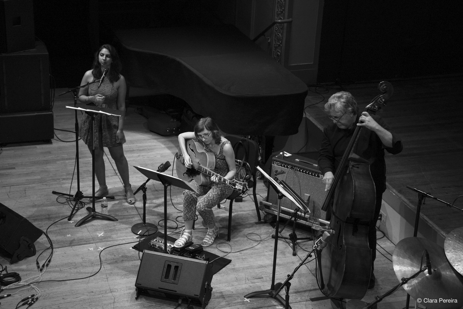 Amirtha Kidambi, Mary Halvorson, Michael Formanek, 2018